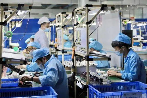 三服務(wù)三保障,火炬區(qū)支持企業(yè)快速復工復產(chǎn)